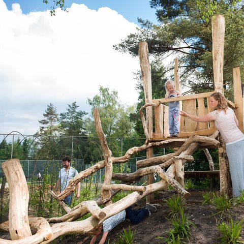 Roompot Bungalowpark Hoenderloo - Camping Apeldoorn - Image N°5