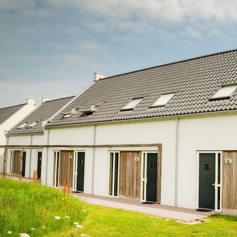 Bungalow 4 Personen - Groede