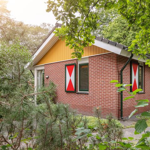 Bungalow 6 Personen - L6A