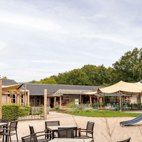 Roompot Bospark Lunsbergen - Camping Borger-Odoorn - Image N°4