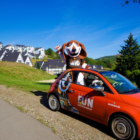Dormio Resort Eifeler Tor - Camping Nordrhein-Westfalen - Image N°3