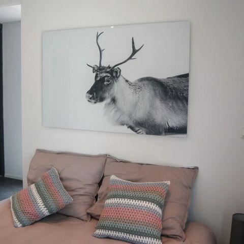 Bungalow 6 Personen - Würfel Maximum