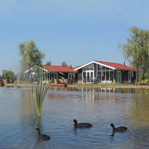Bungalow 6 Personen - Weidenfarm
