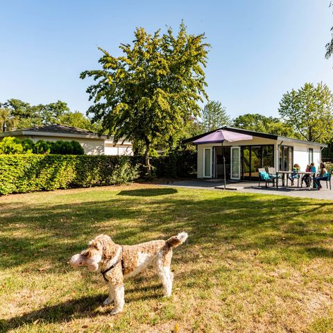 Bungalow 5 Personen - Landhaus MIVA