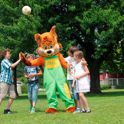 Roompot Vakantiepark Schin op Geul - Camping Valkenburg an der Geul - Image N°3