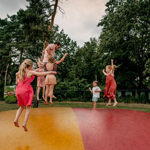 Vakantiepark Westerbergen - De Wolden - Image N°4