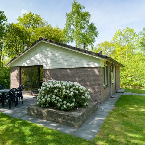 Bungalow 6 personen - Waldkrähenheide