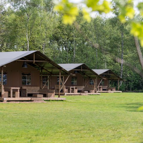 Safarizelt 6 Personen - Farmlodge