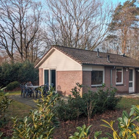 Bungalow 6 Personen - Waldbungalow Cranberry