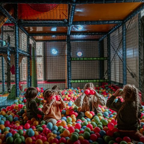 Vakantiepark Westerbergen - De Wolden - Image N°3