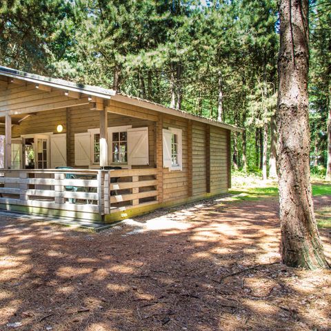 LODGE 4 Personen - Lodge Wald