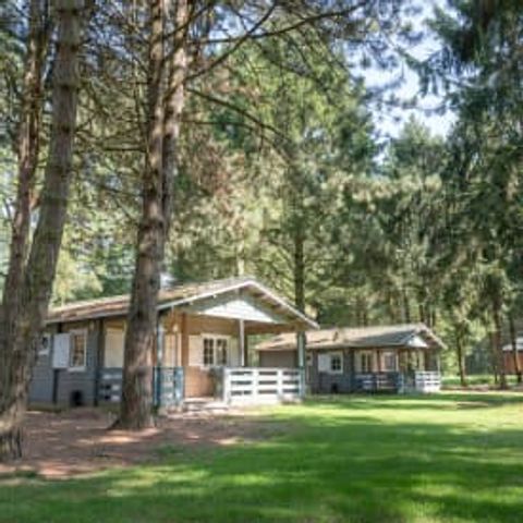 LODGE 6 Personen - Finse Lodge Plus