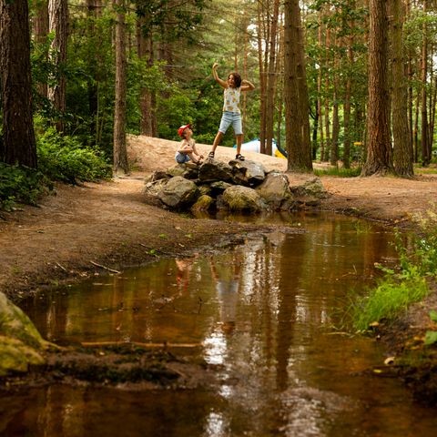 RCN Vakantiepark de Flaasbloem - Goirle - Image N°5