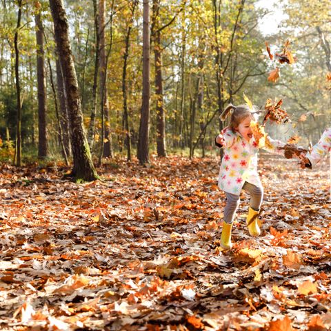 RCN Vakantiepark de Flaasbloem - Goirle - Image N°3