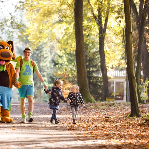 RCN Vakantiepark de Flaasbloem - Camping Goirle - Image N°3