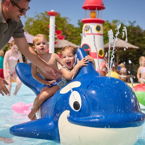 RCN Vakantiepark Toppershoedje - Camping Goeree-Overflakkee - Image N°2