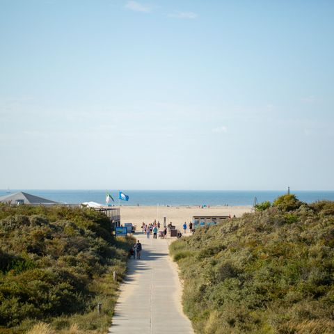 RCN Vakantiepark Toppershoedje - Camping Goeree-Overflakkee - Image N°5