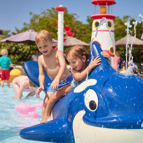RCN Vakantiepark Toppershoedje - Camping Goeree-Overflakkee - Image N°5