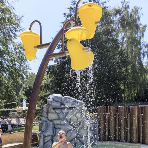 RCN Vakantiepark De Roggeberg - Camping Ooststellingwerf - Image N°3