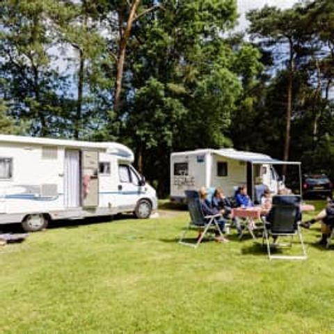 Stellplatz - RCN Zeewolde