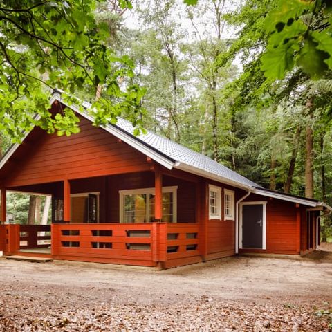 LODGE 6 Personen - Lodge Veluwe