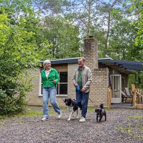 Bungalow 4 Personen - Pluto (Haustier)