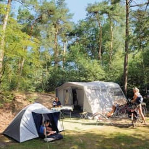 Stellplatz - RCN de Noordster | Campingstellplatz / Wohnmobilstellplatz