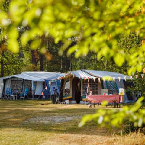 Stellplatz - RCN de Noordster | Campingstellplatz / Wohnmobilstellplatz