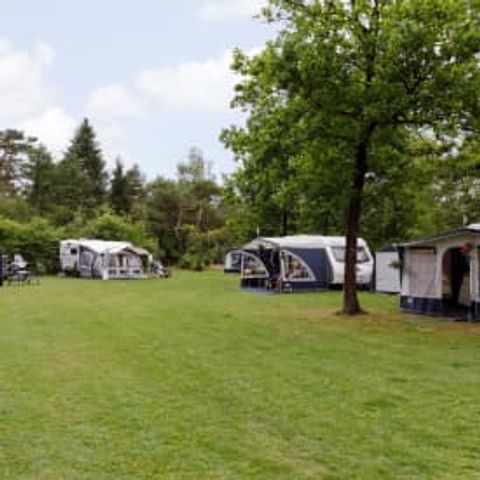 Stellplatz - RCN de Noordster | Komfort-Campingstellplatz