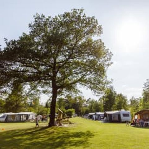 Stellplatz - RCN de Noordster | Komfort-Campingstellplatz