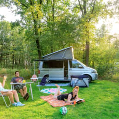 Stellplatz - RCN de Noordster | XL-Campingstellplatz
