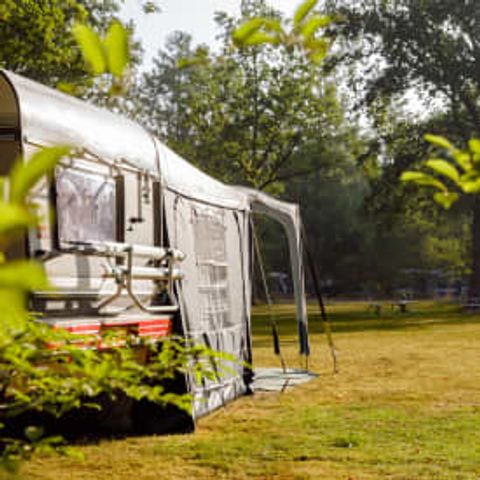 Stellplatz - RCN de Noordster | XL-Campingstellplatz