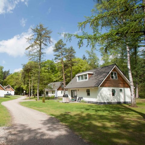 FERIENHAUS 6 Personen - Hydepark