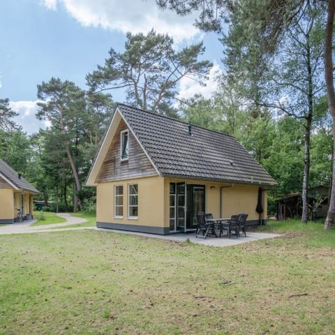 FERIENHAUS 6 Personen - Rotbuche
