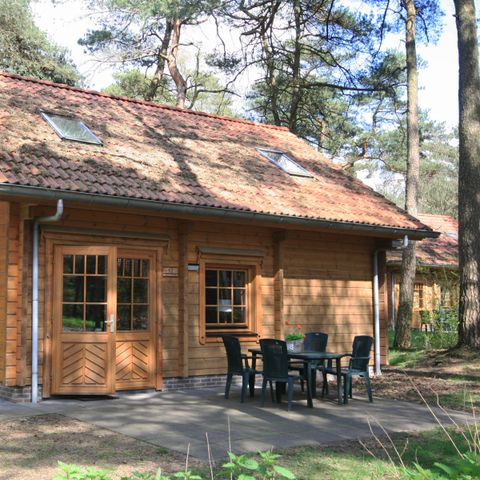 FERIENHAUS 7 Personen - Sparrendaal