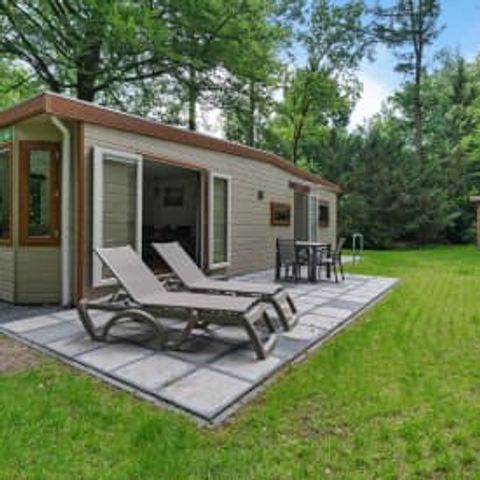 Chalet 3 Personen - Chalet Dartheide