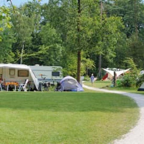 Stellplatz - RCN het Grote Bos