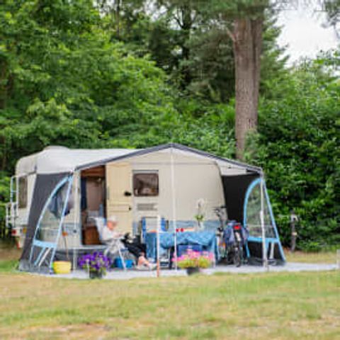 Stellplatz - RCN het Grote Bos