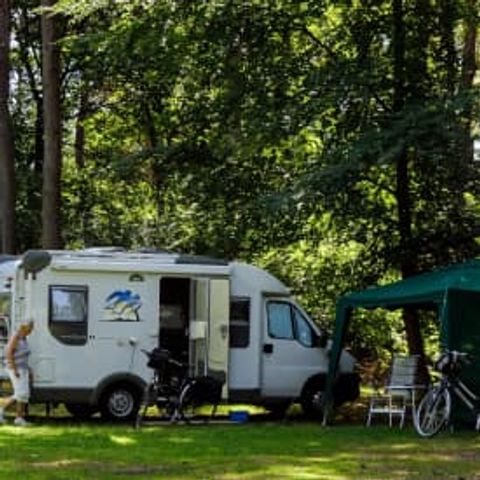 Stellplatz - RCN het Grote Bos