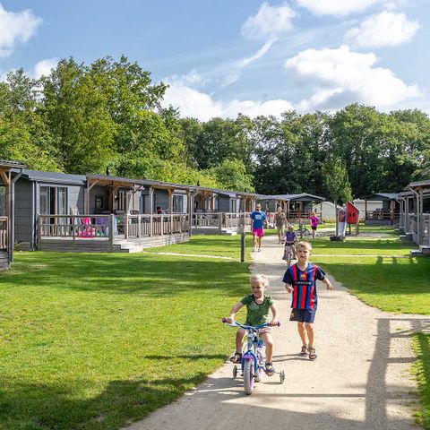 Chalet 6 Personen - Drossel