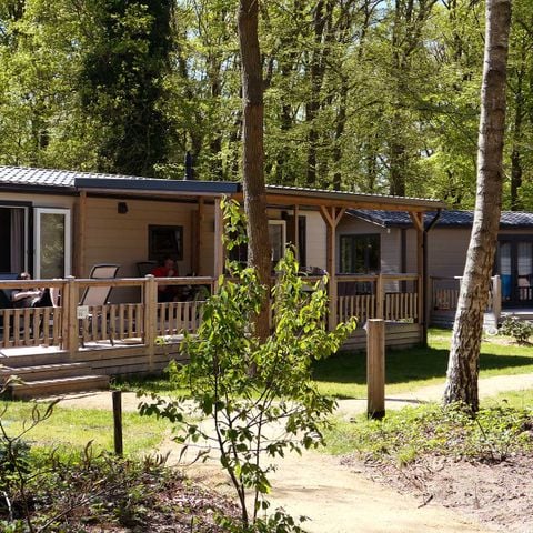 Chalet 6 Personen - Wiesenkerbel