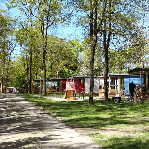 Chalet 4 Personen - 2+2 (bis 12 Jahre) Goldhafer