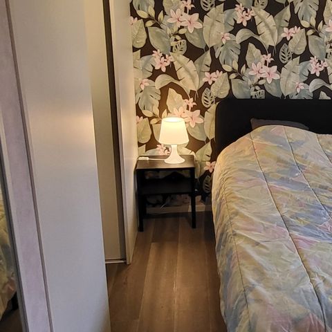 Chalet 3 Personen - Belgica