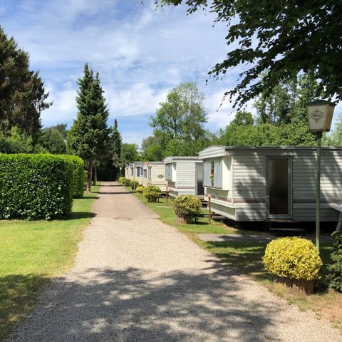 Ferienpark Eifellux - Camping Rheinland-Pfalz - Image N°2