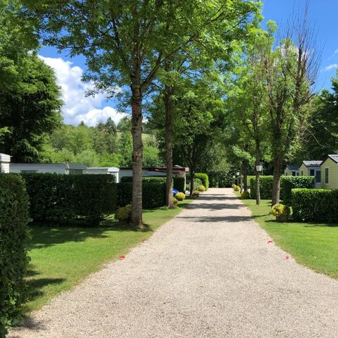 Ferienpark Eifellux - Camping Rheinland-Pfalz - Image N°6