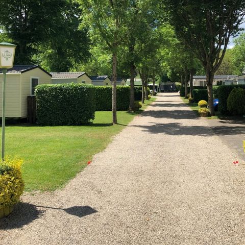 Ferienpark Eifellux - Camping Rheinland-Pfalz - Image N°3
