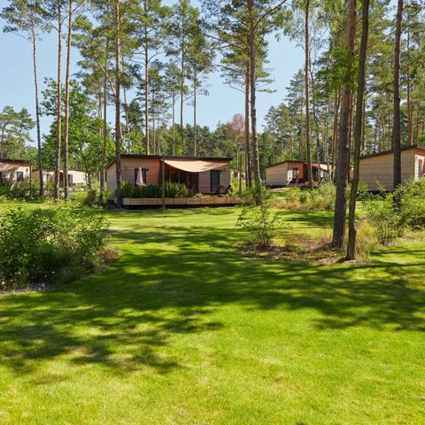 Mobilheim 4 Personen - Woodland Home - 4 Personen