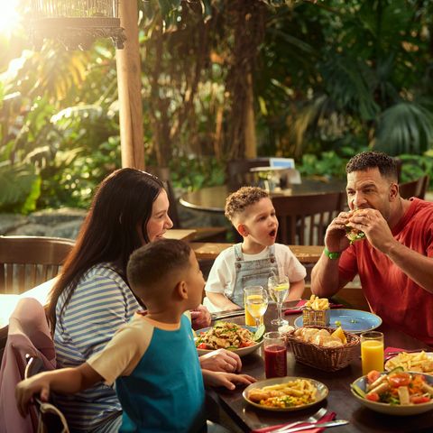 Center Parcs Park Hochsauerland - Nordrhein-Westfalen - Image N°6