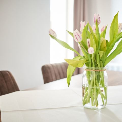 Bungalow 4 Personen - Komfort
