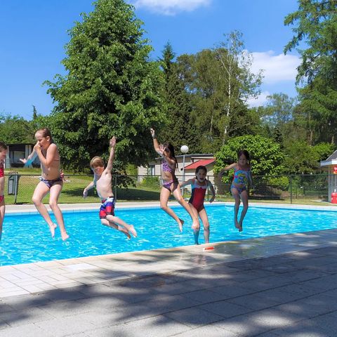 Oostappen park Heelderpeel - Camping Maasgouw - Image N°4
